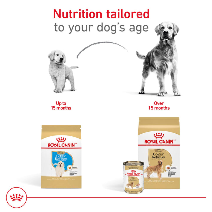 ROYAL CANIN Golden Retriever Adult Wet Dog Food, 13.5 oz, 12-Pack