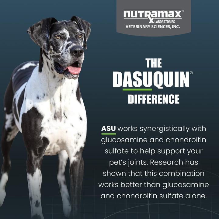 Nutramax Dasuquin MSM Joint Supplement, Large Dogs Chewable Tablets, 150ct