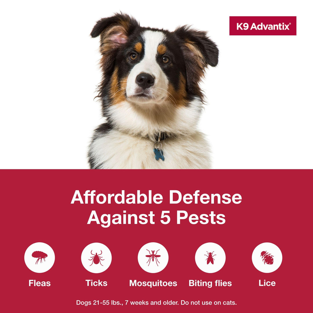 K9 Advantix Flea, Tick &amp; Mosquito Prevention for Dogs 21-55 lbs. | Flea Drops for Large Dogs | Apply Monthly | 4 Treatments (Pack of 2)