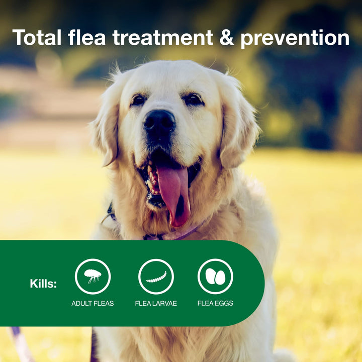 Advantage II Large Dog Topical Flea Treatment &amp; Prevention, 4ct