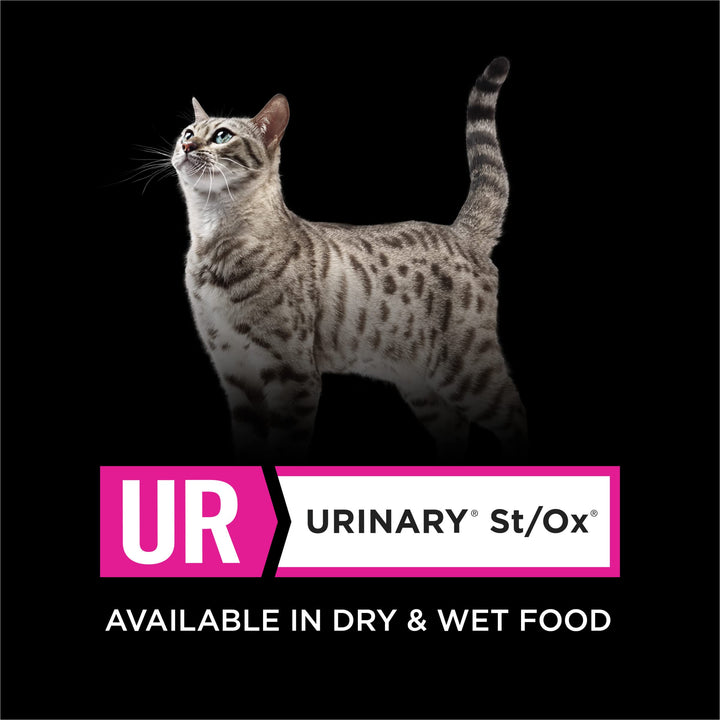 Purina Pro Plan Veterinary UR Urinary St/Ox Dry Cat Food, 6 lb Bag