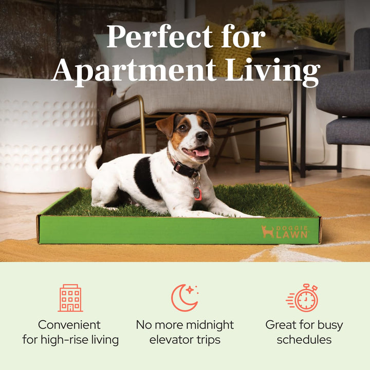 DoggieLawn Real Grass Puppy Pads, Indoor Potty for Apartments, Standard 24x16