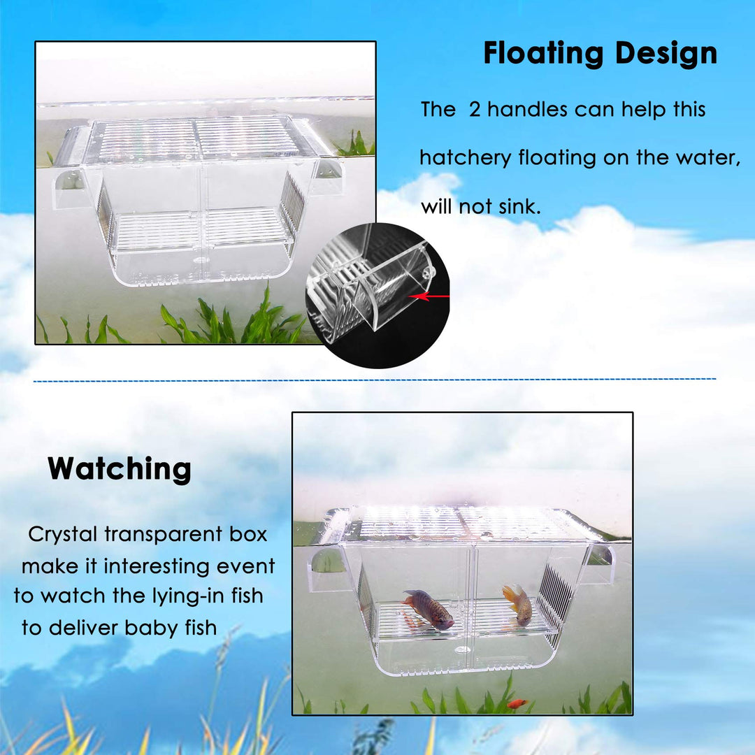 capetsma Fish Breeding Box, Acrylic Fish Isolation Box with Suction Cups, Aquarium Acclimation Hatchery Incubator for Baby Fishes Shrimp Clownfish and Guppy... Small Size (S)