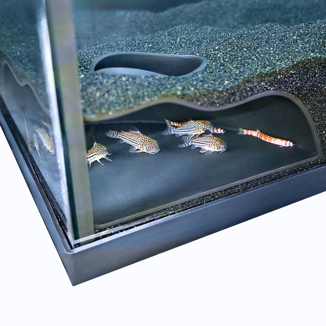 Lucky Critter Aquarium Underground Corner Cave Natural Curve | Viewing Fish &amp; Shrimp Under Gravel Tunnel | Fish Tank Decor Decoration Hideout Perfect for Corydora Catfish, Kuhli Loach, Pleco