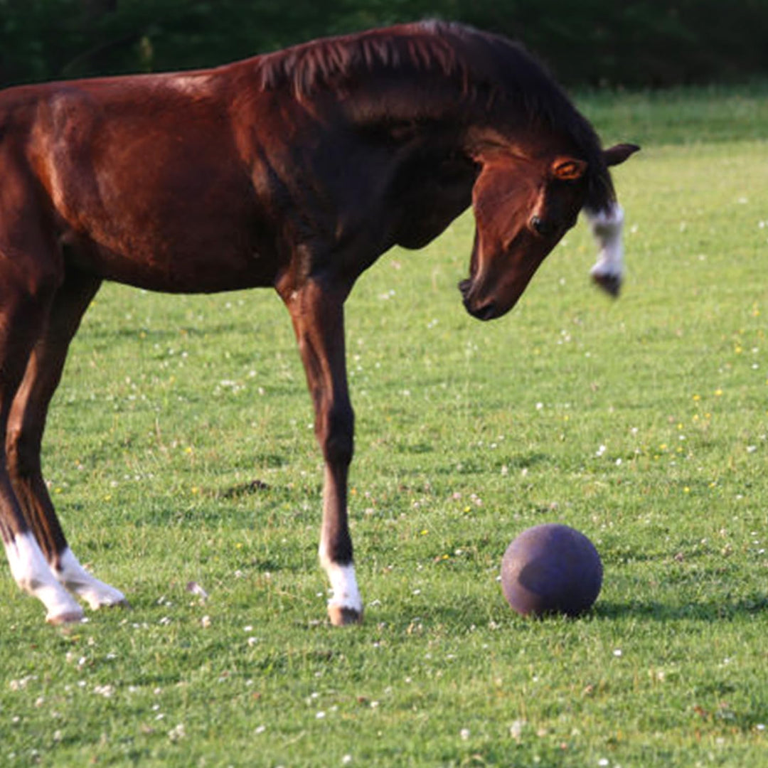 Horsemen&