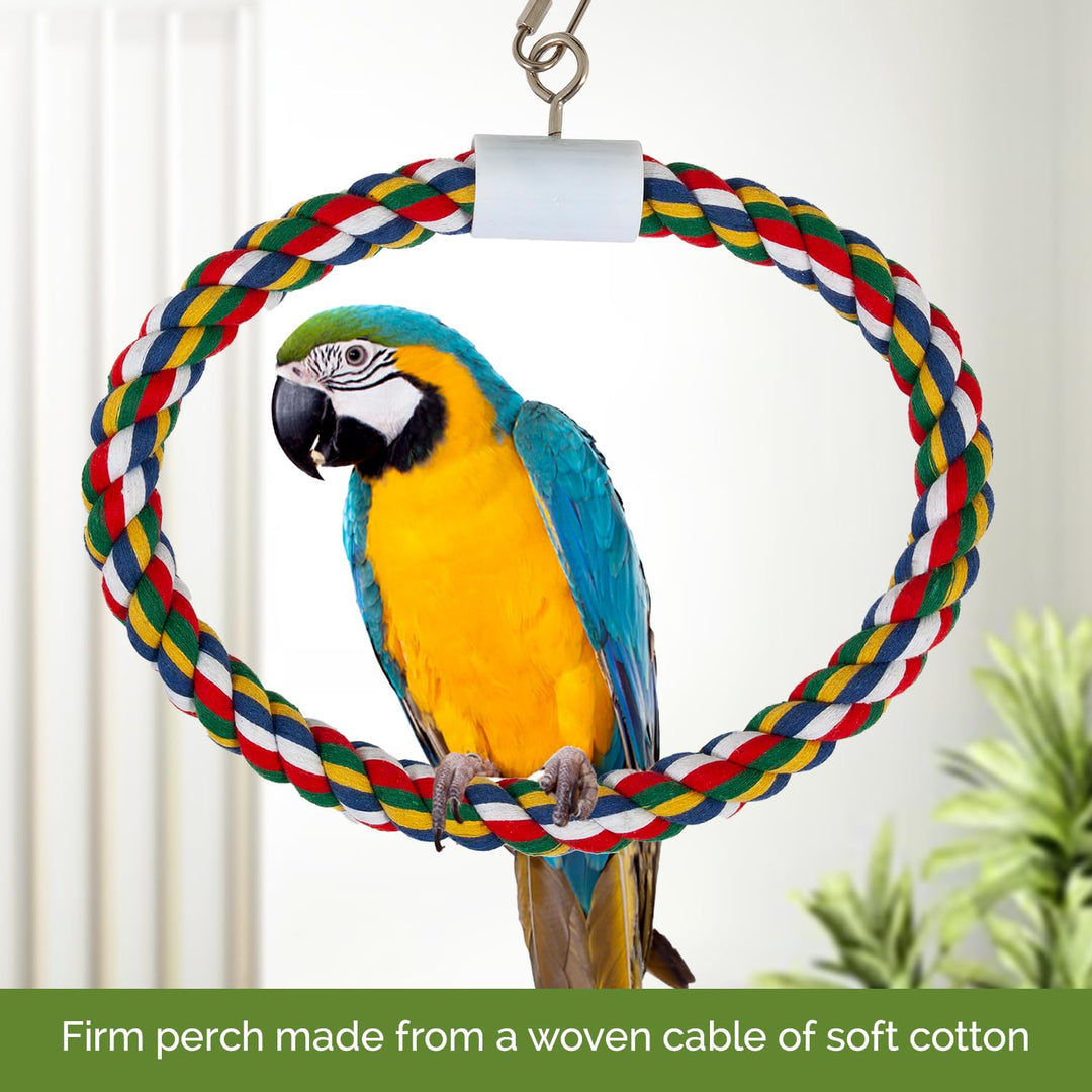 JW Pet Swing N&