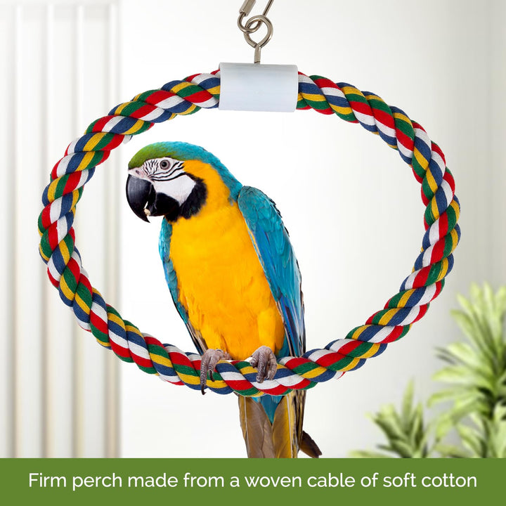 JW Pet Swing N&
