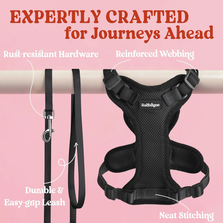 rabbitgoo Cat Harness and Leash Set, Escape Proof Vest, Black