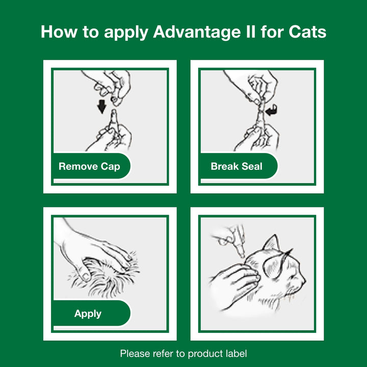 Advantage II Large Cat Topical Flea Treatment &amp; Prevention, 4ct