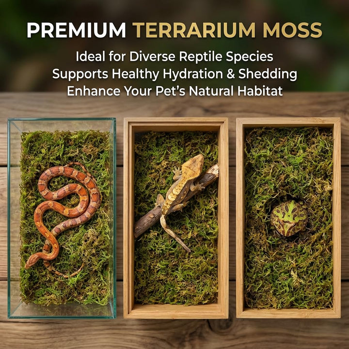 Sukh Sphagnum Moss for Reptiles - Green Terrarium Moss Substrate, 5oz