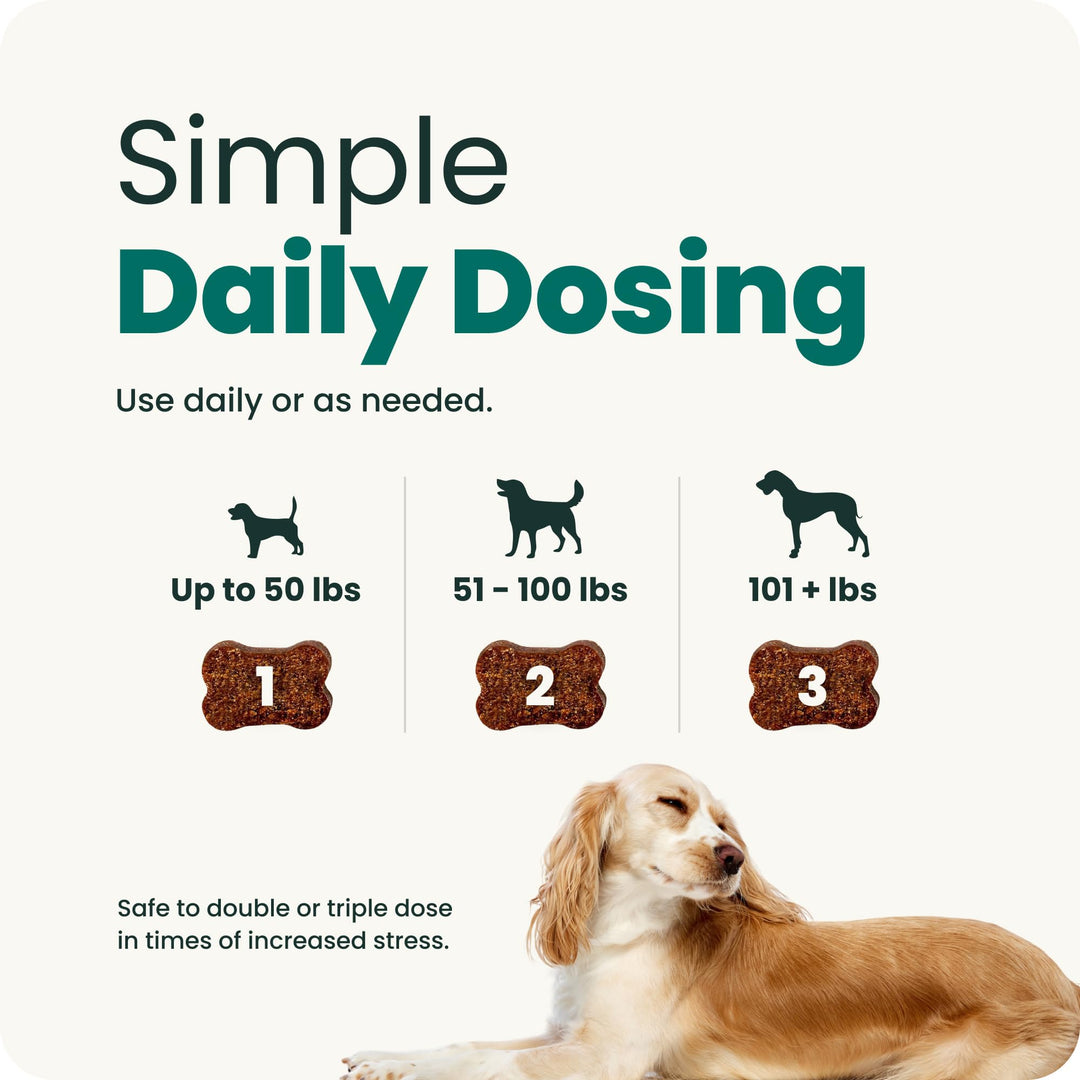 VetriScience Calm &amp; Confident Chews for Dogs, Chicken, 60 Count