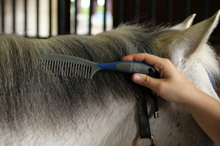 Comb Mane &amp; Tail Blue