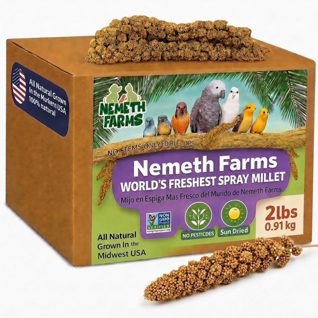 Nemeth Farms Spray Millet - Edible Tops Only, Non-GMO and Sun-Dried - 2 lbs for Cockatiels, Lovebirds and Budgies