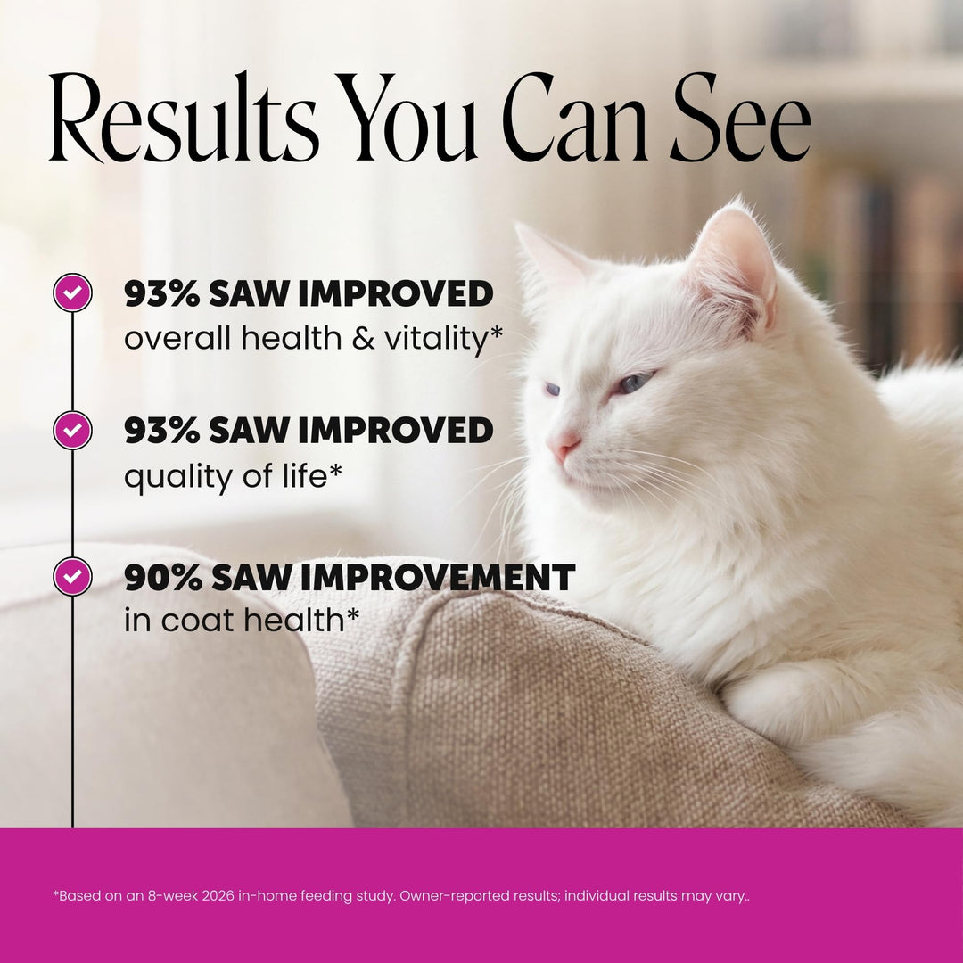 Pet Honesty Vet Backed Cat Multivitamin, Chicken, 90-Day Supply