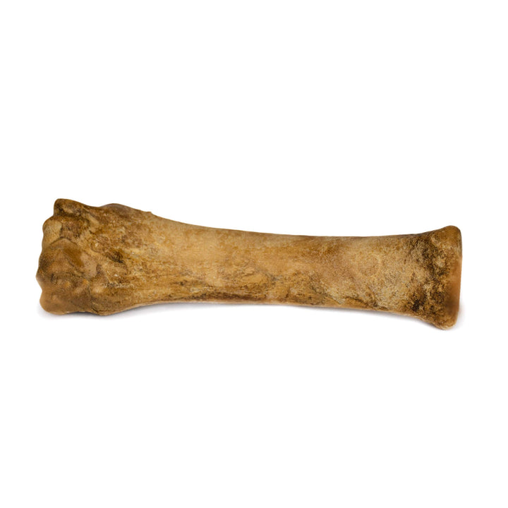 Nylabone Healthy Edibles Natural Dog Chews, Roast Beef Flavor, XL, 1 Ct