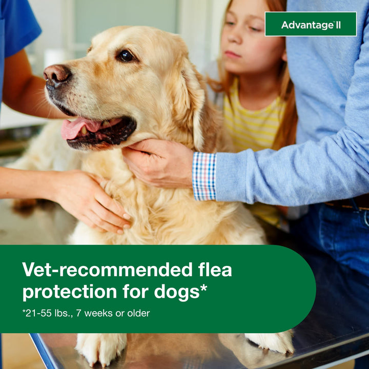Advantage II Large Dog Topical Flea Treatment &amp; Prevention, 4ct