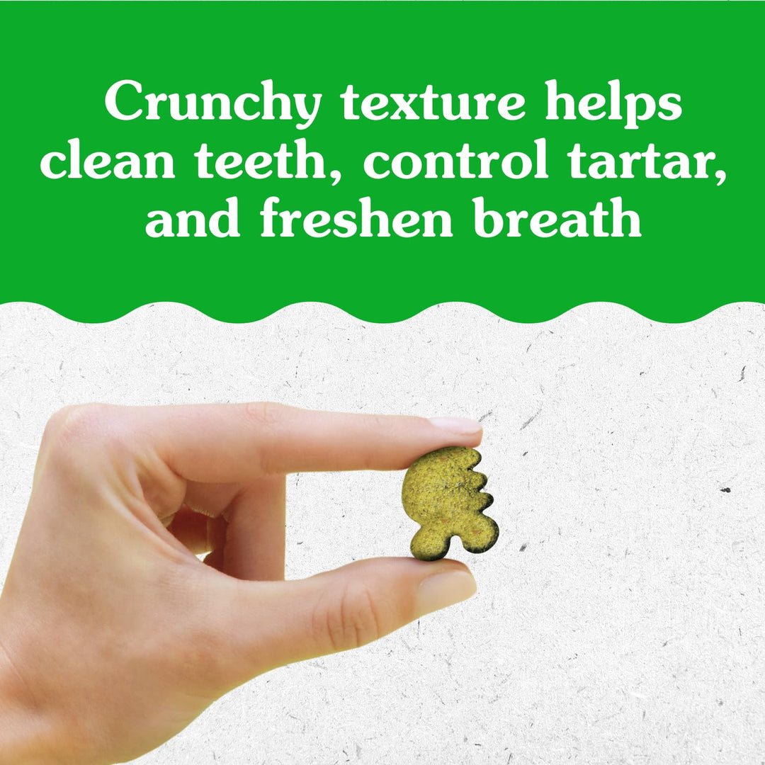 Greenies Feline Natural Crunchy Dental Cat Treats, Salmon Flavor, 9.75 oz