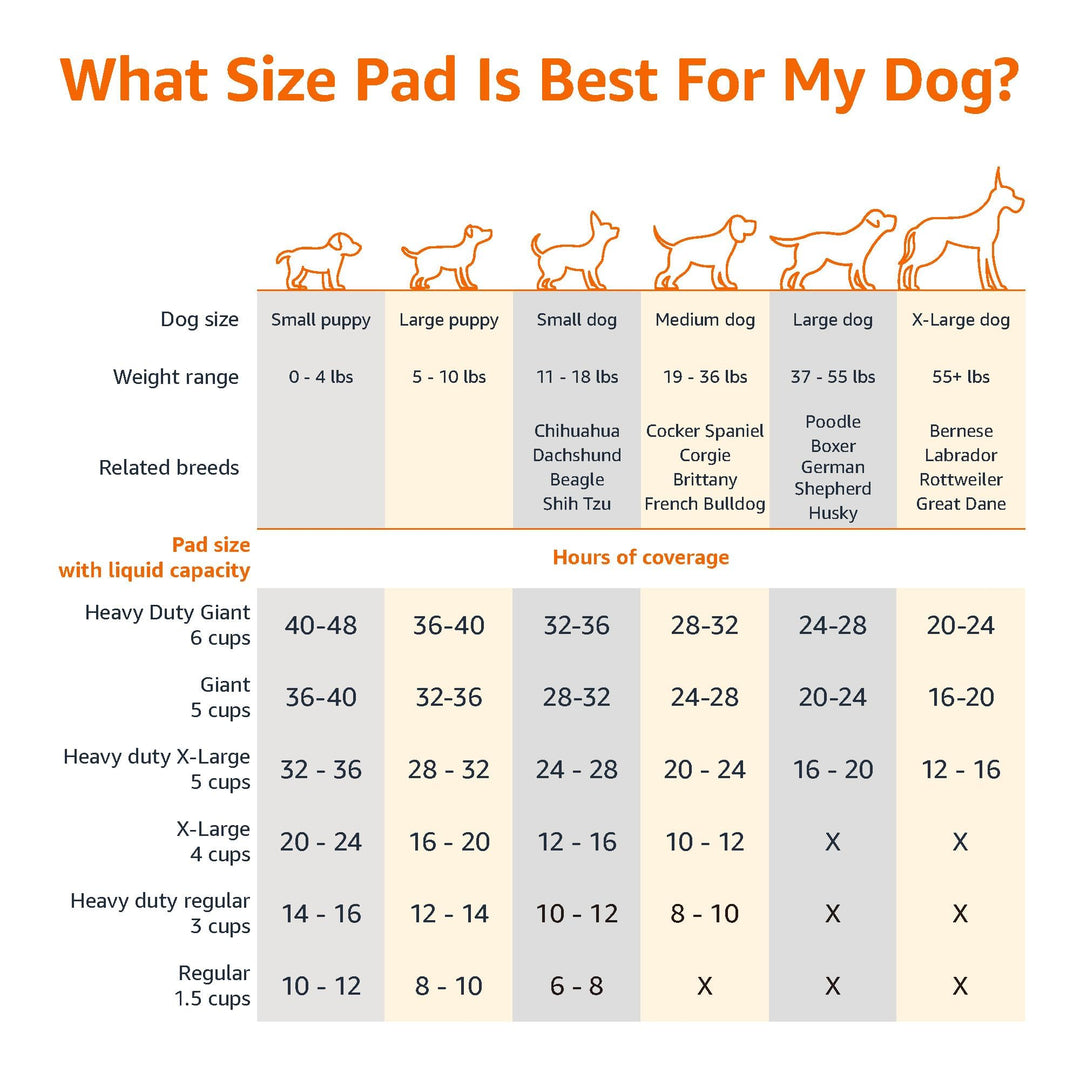 Amazon Basics Scented Dog and Puppy Potty Training Pee Pads, 5-Layer Leak-Proof Super Absorbent with Quick-Dry Surface, Regular Size 22 x 22 Inch, Blue &amp; White, 100 Count