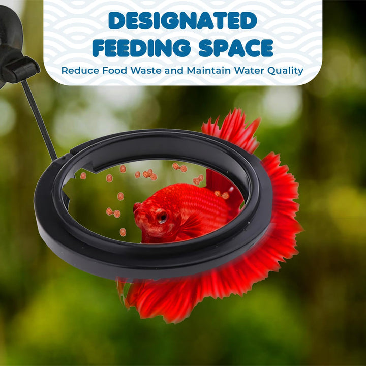 SunGrow Betta Feeding Ring with Suction Cup for Guppy &amp; Small Fish, 1 Pc