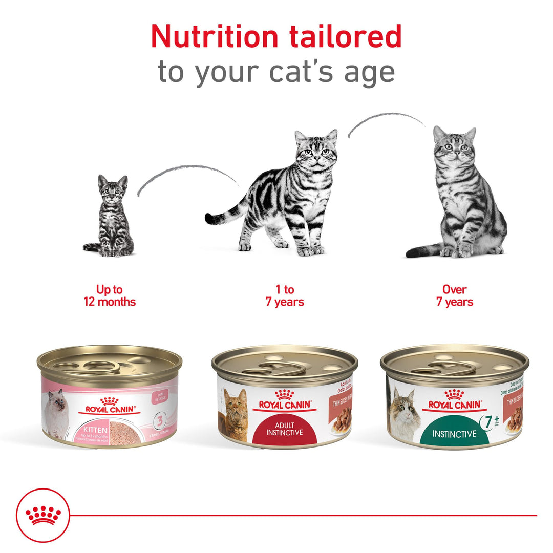 Royal Canin Feline Health Nutrition Adult Instinctive Adult Thin Slices in Gravy Cat Food, 3 oz (Pack of 12)