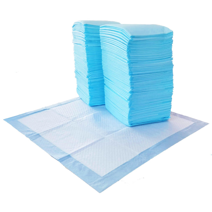 Amazon Basics Scented Dog and Puppy Potty Training Pee Pads, 5-Layer Leak-Proof Super Absorbent with Quick-Dry Surface, Regular Size 22 x 22 Inch, Blue &amp; White, 100 Count