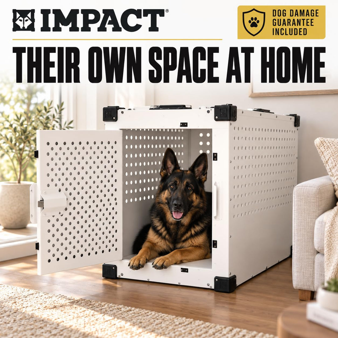 Impact High Anxiety Dog Crate - Escape Proof Kennel (White, 30")