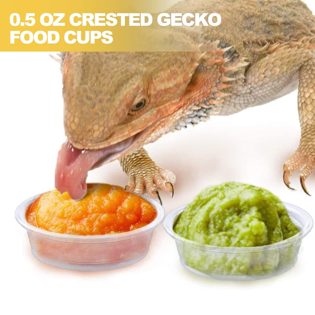 YOJOR 0.5oz Crested Gecko Food and Water Feeding Cups, Reptile Feeder Bowls, Plastic Replacement Food Dish for Lizard and Other Small Pet Ledge Accessories (100 pcs)
