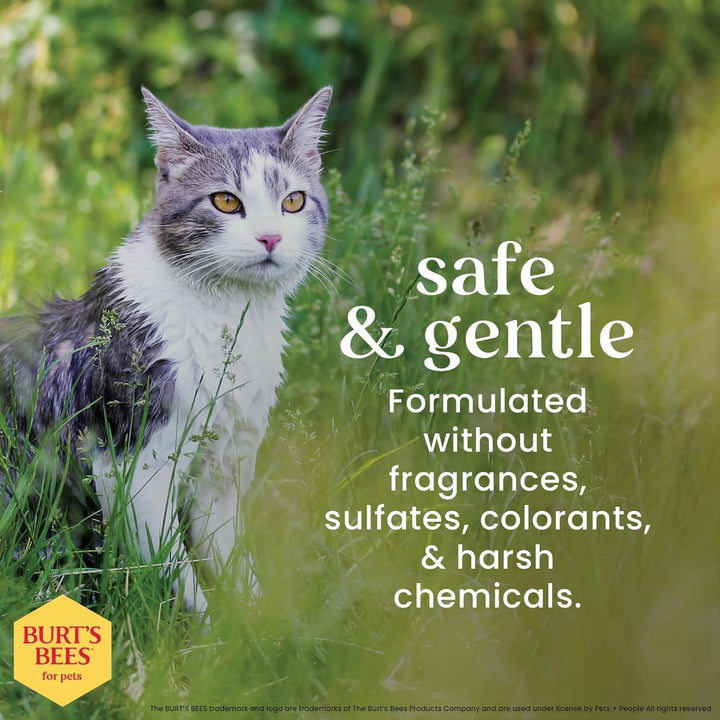 Burts Bees for Pets Waterless Cat Shampoo Spray, 10 Fl Oz
