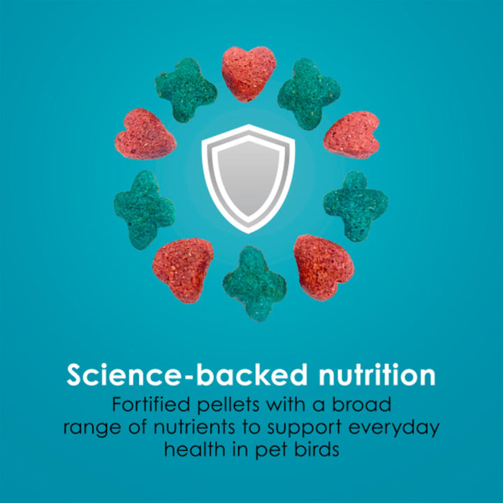 Kaytee Forti-Diet Pro Health Nourish+Protect Parrot Food, 5 Pounds