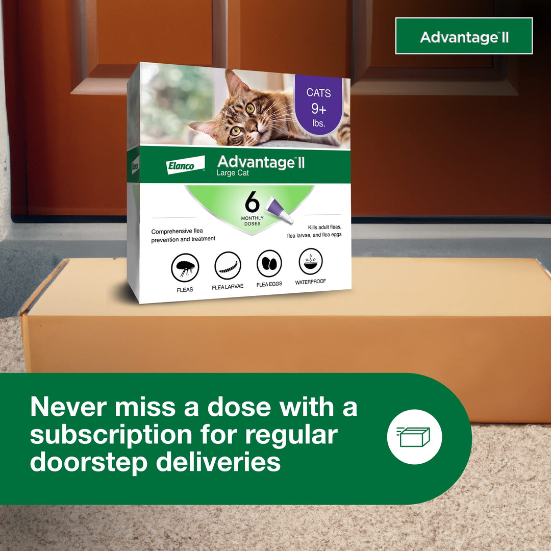 Advantage II Large Cat Topical Flea Treatment &amp; Prevention, 6ct
