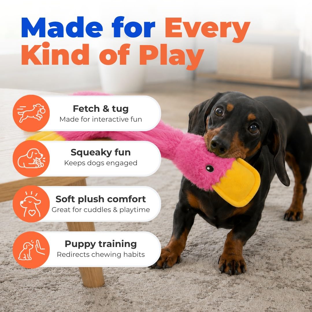 Best Pet Supplies Interactive Squeaky Dog Toy - Crinkle Duck, Pink