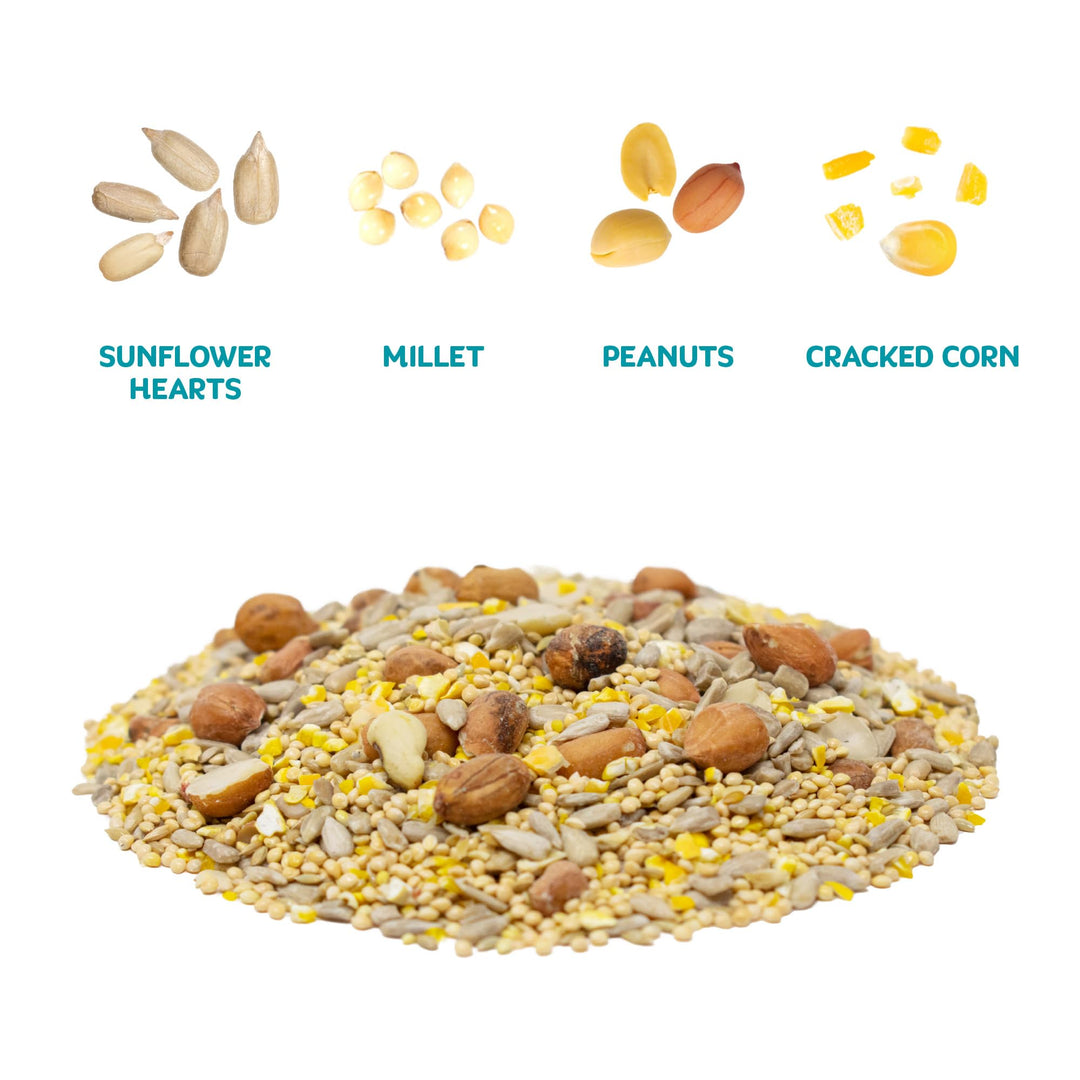 Audubon Park Waste Free Wild Bird Seed, 12 lb