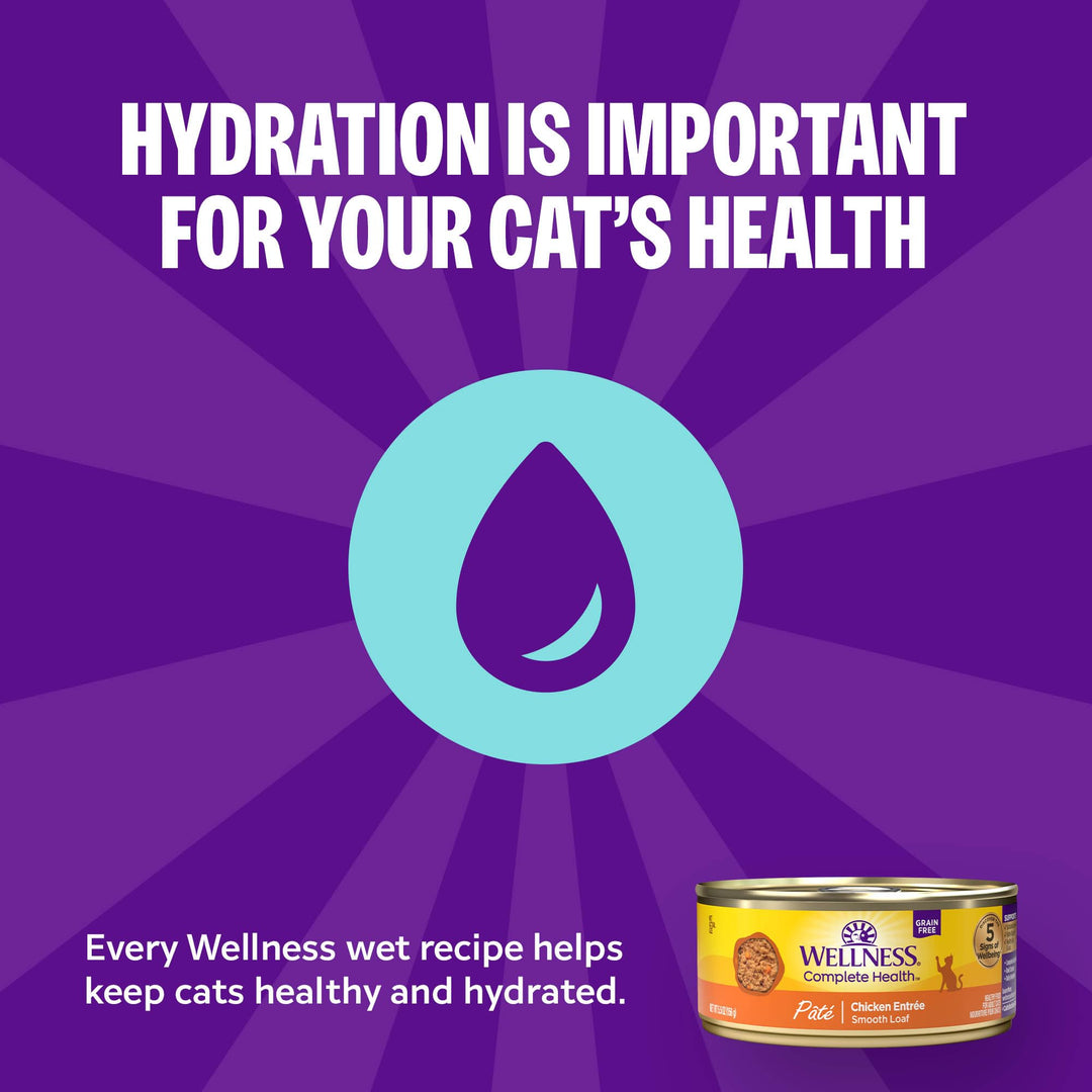 Wellness Complete Health Pate Adult Wet Cat Food, Natural, Protein-Rich, Grain Free, 5.5 Ounce, 12 Pack, (Turkey &amp; Salmon)