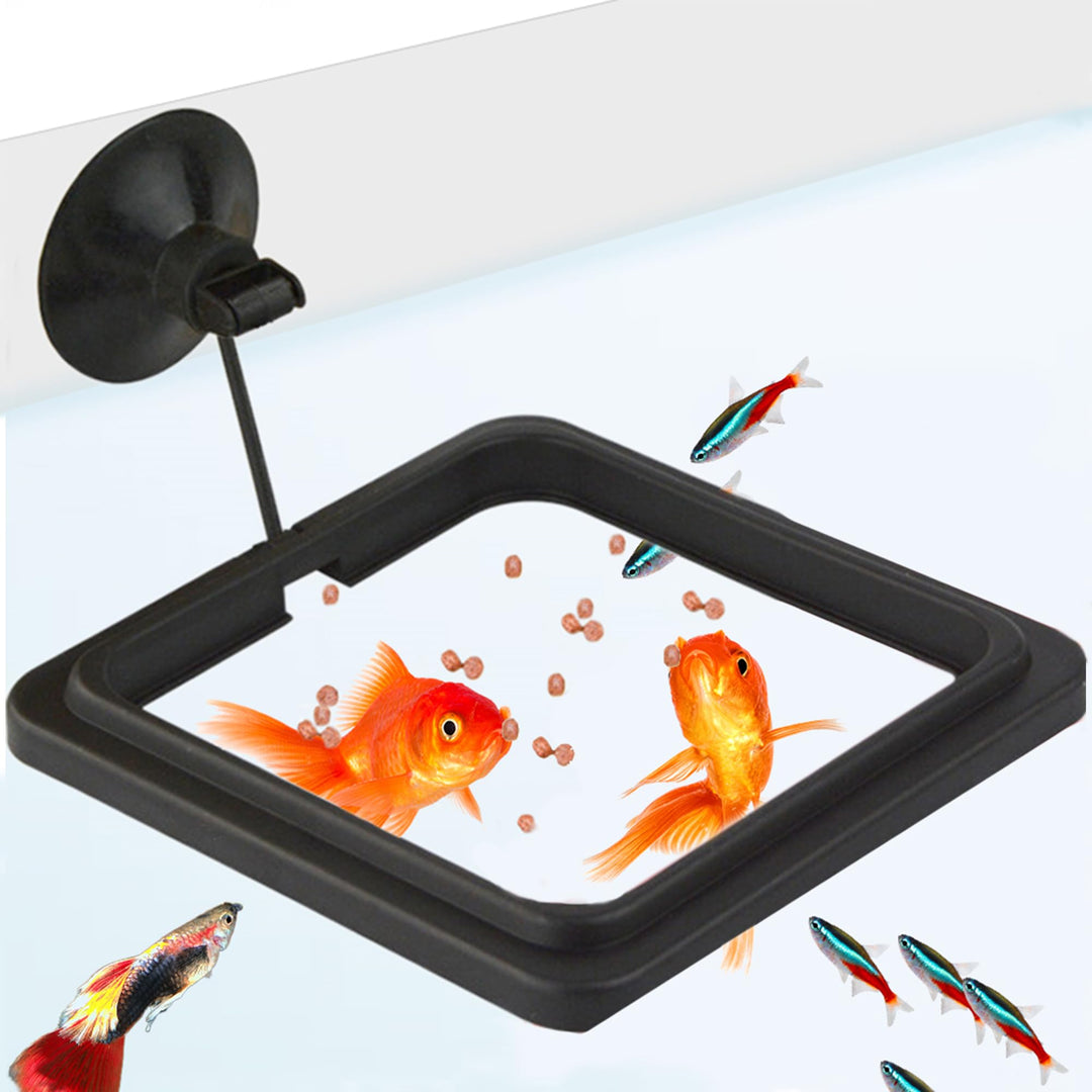SunGrow Fish Food Feeding Ring, Stop Water Turbulence from Washing Food &amp; Floating Plants into Filter, Suitable for Flakes &amp; Floating Fish Pellets, for Goldfish, Guppy, Neon Tetra, Betta, 1 Piece