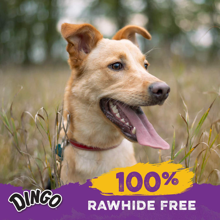 Dingo Porkie Rolls Pork Hide Dog Treats, with Real Pork &amp; Chicken, 15 Ct