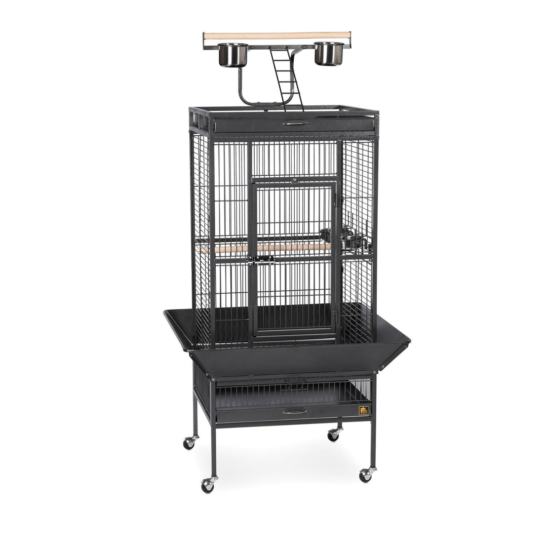 Prevue Pet Products Wrought Iron Select Bird Cage - L, Black Hammertone