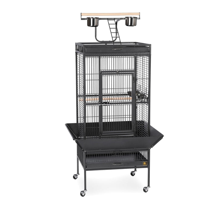 Prevue Pet Products Wrought Iron Select Bird Cage - L, Black Hammertone