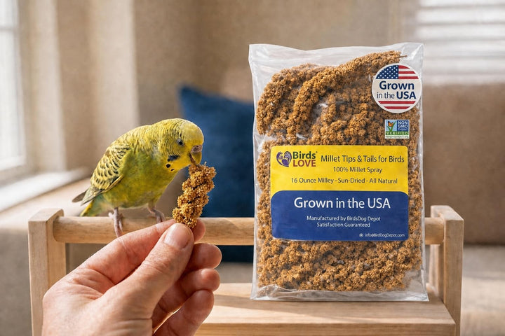 Birds LOVE® Millet Tips &amp; Tails for Birds – Premium Spray Millet Treat, Non-GMO, USA Grown – Natural Bird Food for Parakeets, Cockatiels, Budgies, Lovebirds, Finches, Canaries &amp; Parrots – 1 lb