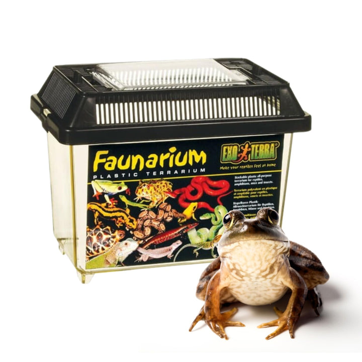 Exo Terra Faunarium Small Plastic Reptile Terrarium &amp; Transport Container