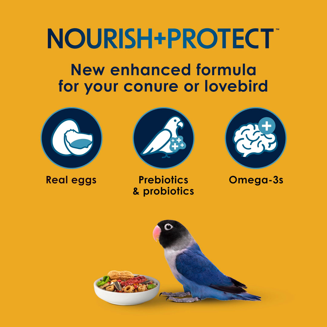 Kaytee Forti-Diet Pro Health Egg-Cite Pet Conure &amp; Lovebird Food, 3 Pound