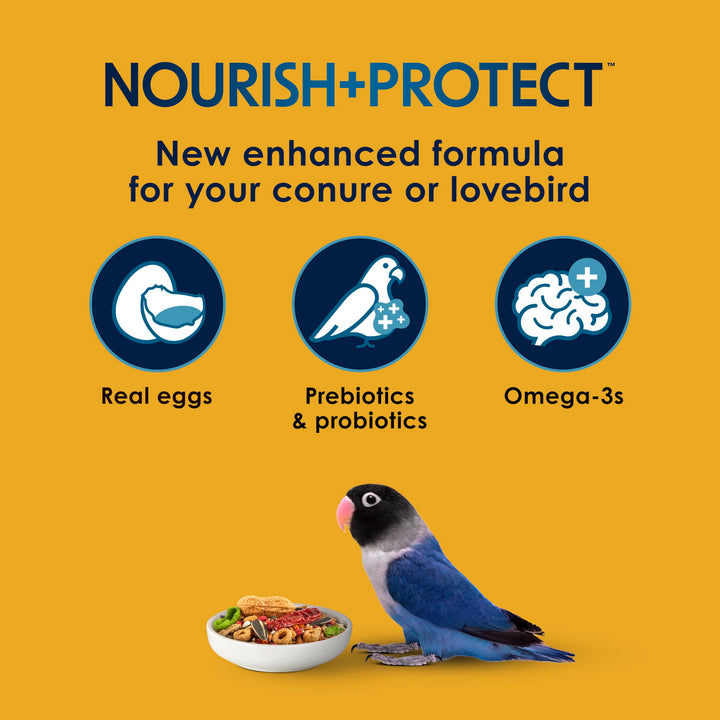 Kaytee Forti-Diet Pro Health Egg-Cite Pet Conure &amp; Lovebird Food, 3 Pound