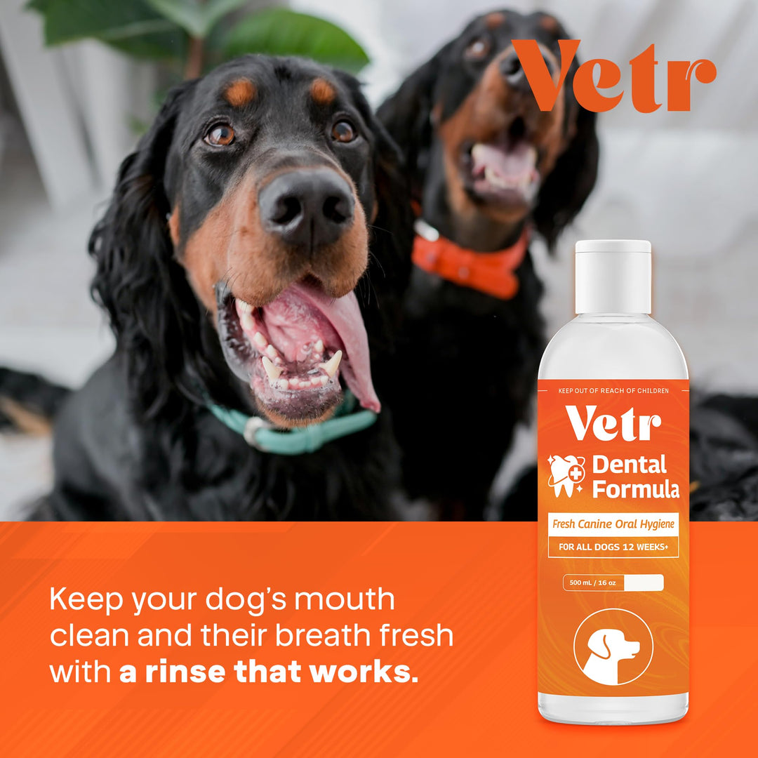 vetr Dental Formula for Dogs - Peppermint Flavored Oral Care Liquid Additive with Enzymes for Breath and Teeth Support - 16 oz (500mL) - Vet-Formulated in USA