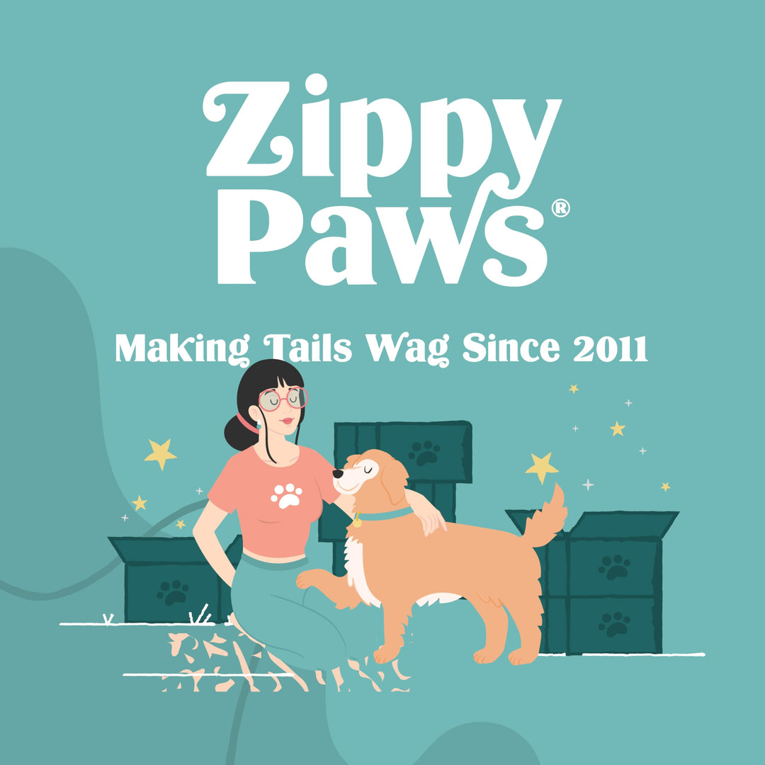 ZippyPaws Skinny Peltz No Stuffing Dog Toy Pack to Keep Them Busy - 18"