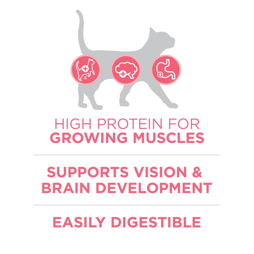 Purina ONE High Protein Natural Kitten Dry Cat Food, 16 lb Bag