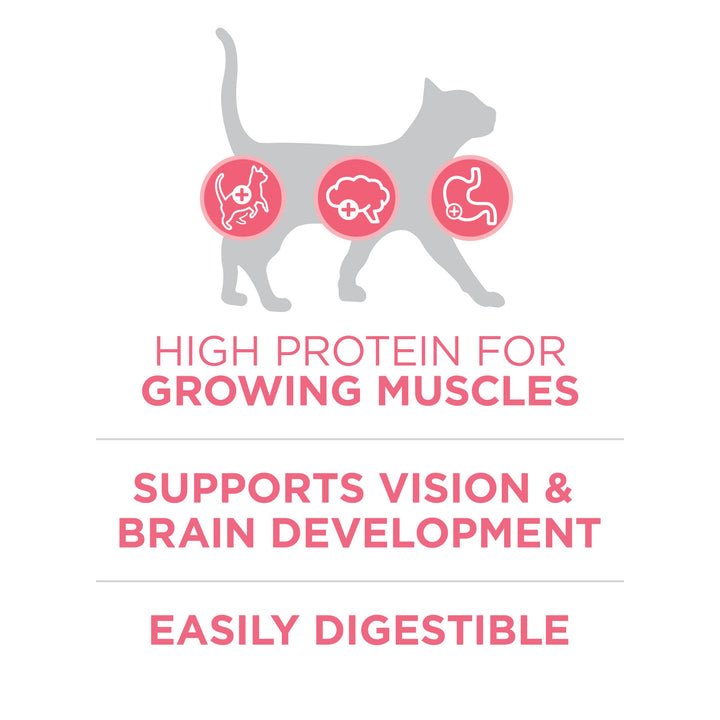 Purina ONE High Protein Natural Kitten Dry Cat Food, 16 lb Bag
