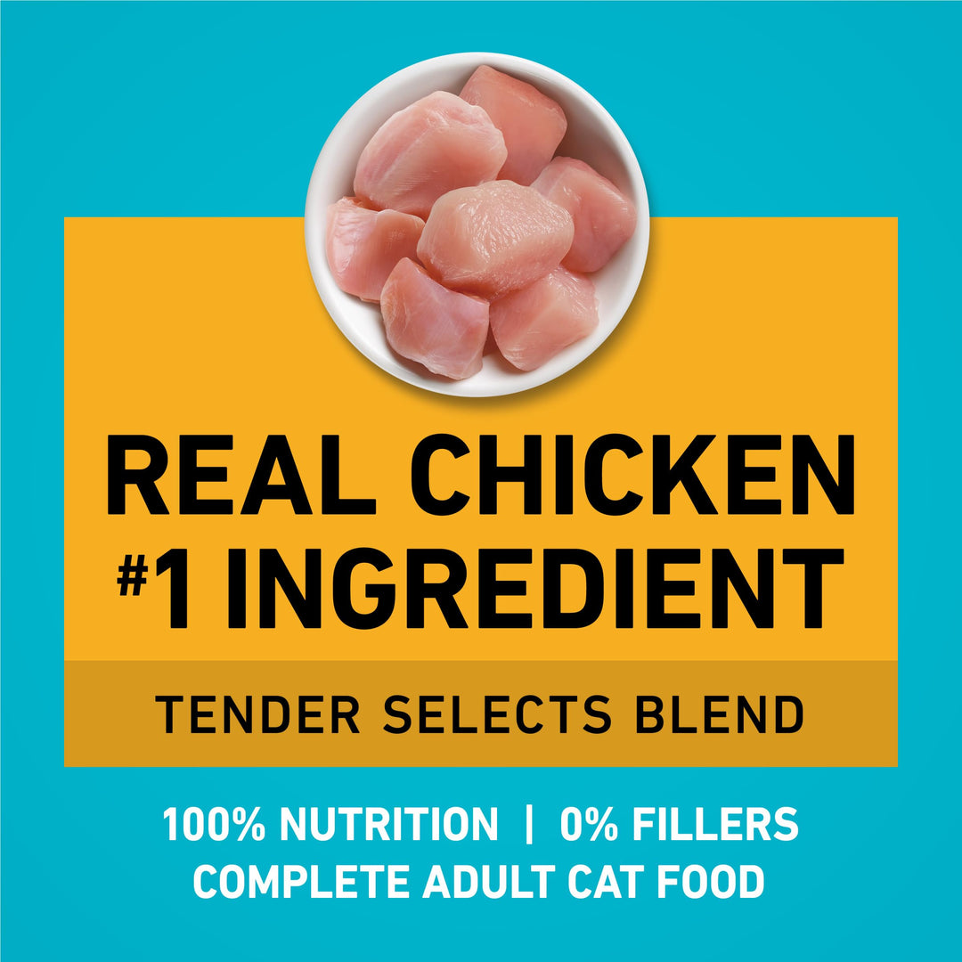 Purina ONE Tender Selects Dry Cat Food, Chicken, 22 lb Bag