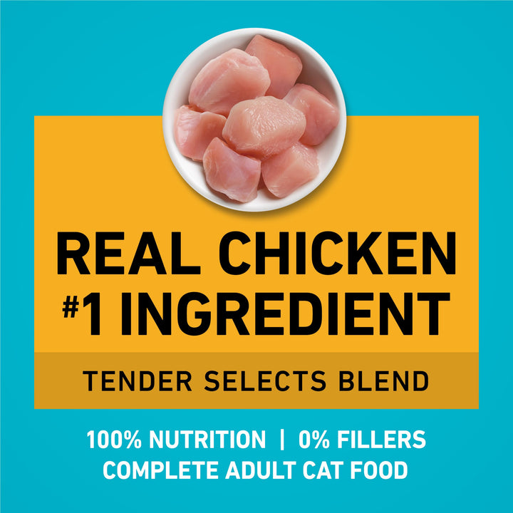 Purina ONE Tender Selects Dry Cat Food, Chicken, 22 lb Bag