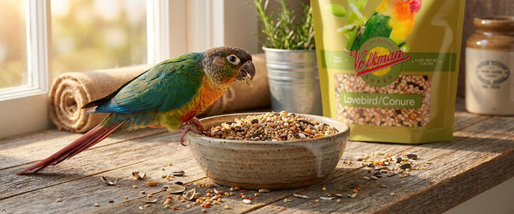 Volkman Avian Science Lovebird &amp; Conure Bird Seed 4 Lb