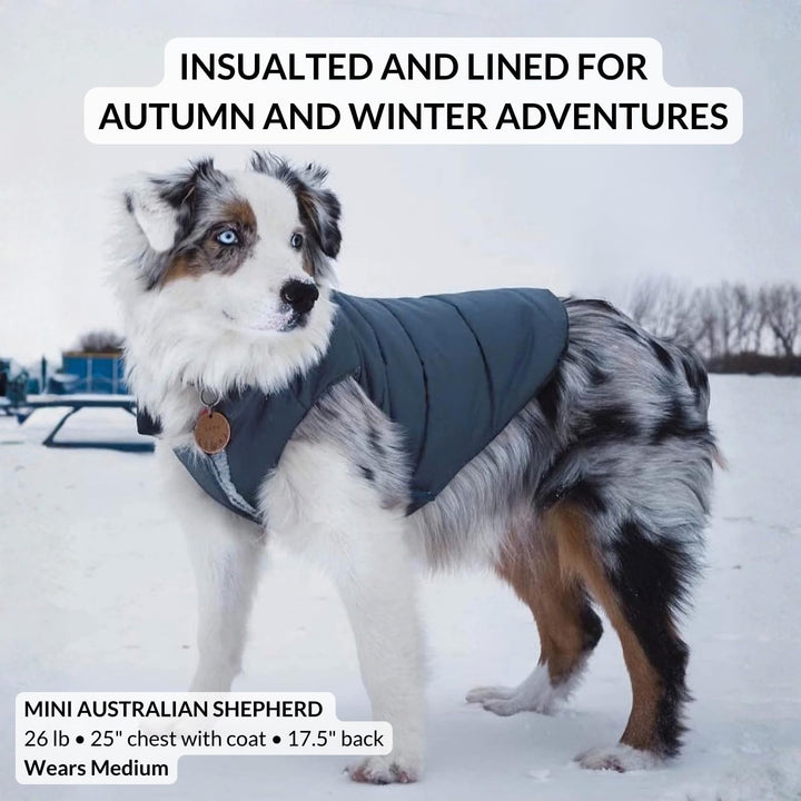 DJANGO Reversible Puffer Dog Coat &amp; Warm Winter Jacket - Blue, Medium