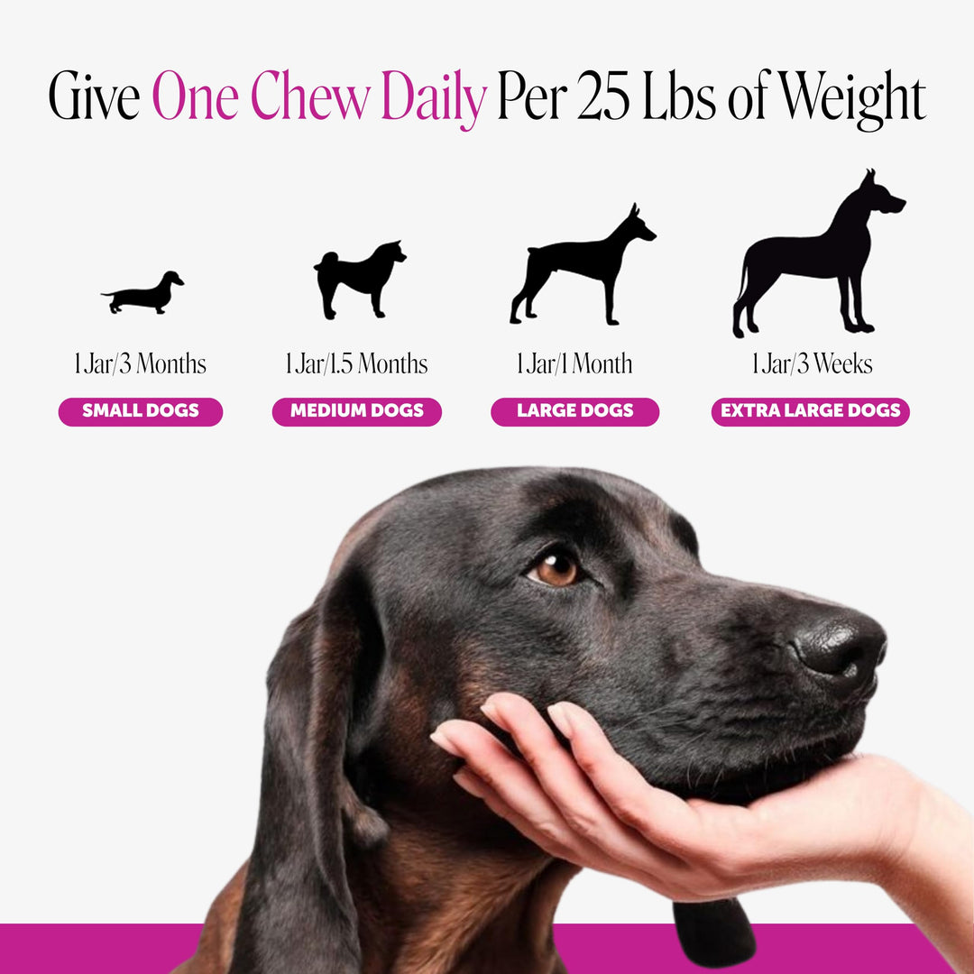 Pet Honesty Vet Recommended 10-in-1 Dog Multivitamin, 90 Ct, Chicken